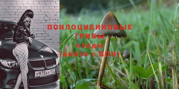 не бодяженный Балахна