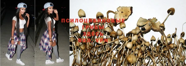 не бодяженный Балахна